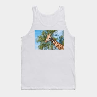 Close up photo of a Rothschild Giraffe head Tank Top